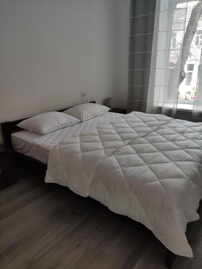 Flat in the city center أوديسا المظهر الخارجي الصورة
